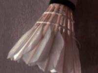 上海玄鸟VS香港金牛分析推荐上海玄鸟3比1淘汰合肥狂风！处子赛季杀入NBL总决赛，能否挑战三连霸金牛？