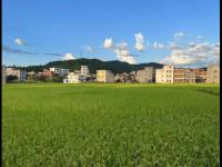 热那亚vs国米直播_热那亚vs国米直播观看免费_热那亚vs国米